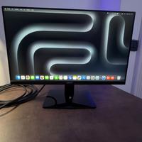Schermo acer 24