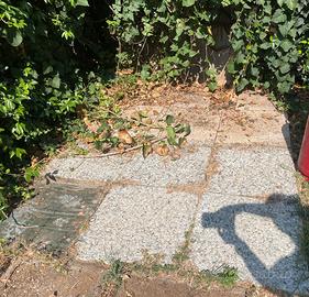 Mattonelle in graniglia di cemento