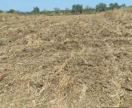 Terreno in Contrada Sant' Antonino, Ramacca (CT)