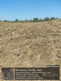 Terreno in Contrada Sant' Antonino, Ramacca (CT)