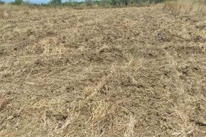 Terreno in Contrada Sant' Antonino, Ramacca (CT)