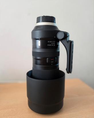 tamron 150-600 mm F5-6.3