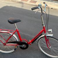 Bianchi pieghevole 24 pollici