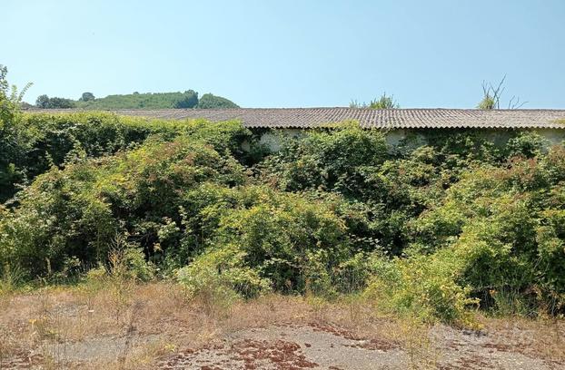 Terreno, fabbricato, capannone ad Altavilla Irpina