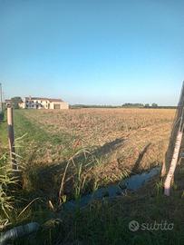Rustico con terreno  Badia polesine 