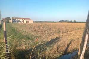 Rustico con terreno  Badia polesine 