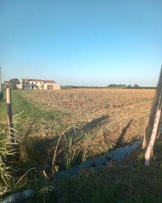 Rustico con terreno  Badia polesine 