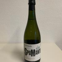 Vino Spumante La Viranda, bottiglia d'annata