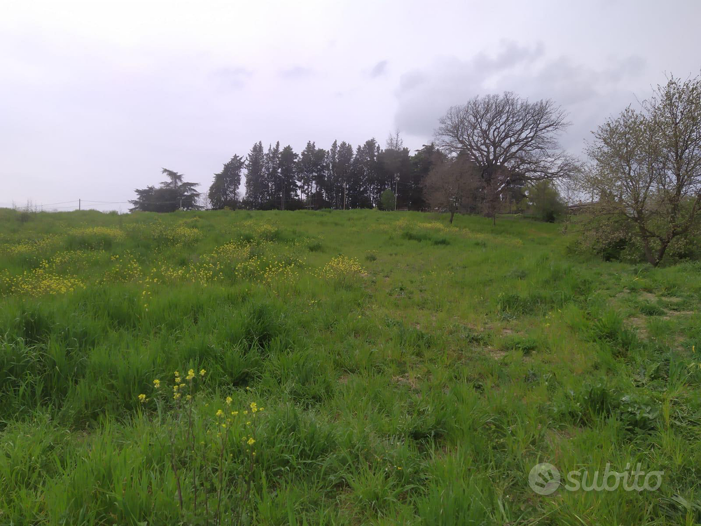 Terreno agricolo - Altro