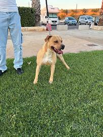 Disponibile per monte