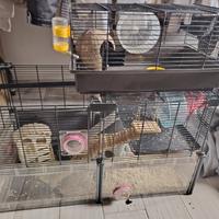 Gabbia per Criceti XxL (Legno e Metallo)