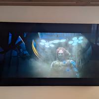 Televisore LG OLED55C8PLA con difetto scheda madre
