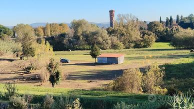 Terreno Scandicci