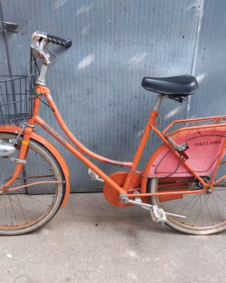 Bicicletta da donna 