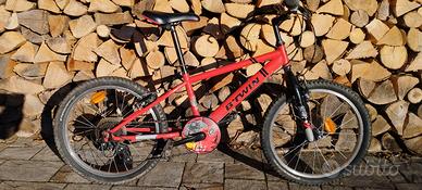 Mountain Bike 20"