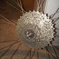 Ruota posteriore city / mtb con copertone Schwalbe