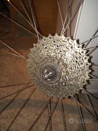 Ruota posteriore city / mtb con copertone Schwalbe