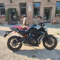 Kawasaki 650 ABS