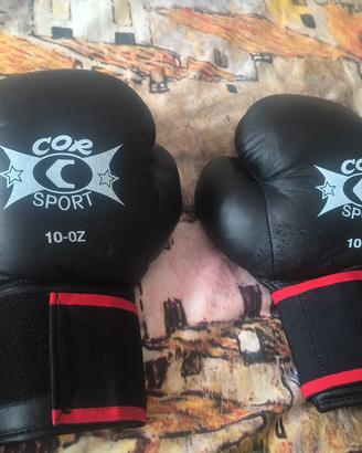 guantoni boxe