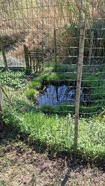 Oasi agricola di 1 ettaro con sorgente e laghetto