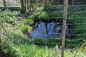 Oasi agricola di 1 ettaro con sorgente e laghetto