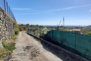 TER. AGRICOLO A GIARRE