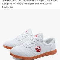 SCARPE TAI CHI 