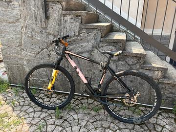 Mountain bike Xeris
