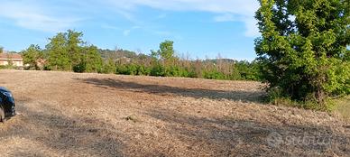 Terreno agricolo