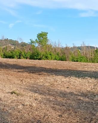 Terreno agricolo
