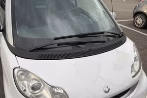 Smart Fortwo 2011 benzina motore revisionato