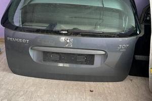 Portellone baule posteriore peugeot 307