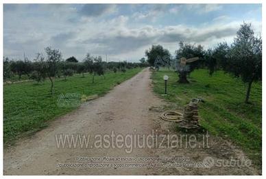 Terreno Agricolo Castelvetrano [A4351454]