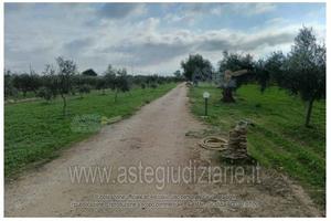 Terreno Agricolo Castelvetrano [A4351454]