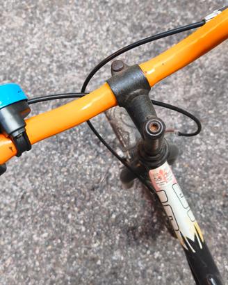bicicletta bimbi