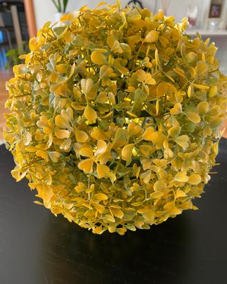 Cespuglio sfera ornamentale con foglie due colori