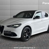 Alfa Romeo Stelvio 2.2 TRIBUTO ITALIANO - Q4 ...