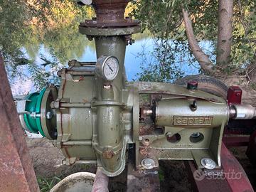 Caprari pompa irrigazione Mr80 2 giranti