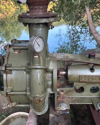 Caprari pompa irrigazione Mr80 2 giranti