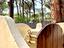 Immagine 29