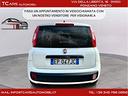 fiat-panda-1-3-garanzia-3-anni-top