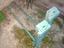 Immagine 2
