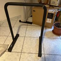 parallele calisthenics
