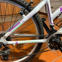 bici Torpado MTB femminile