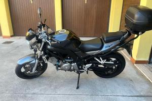Suzuki SV 650 - 2009