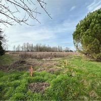 TERRENO AGRICOLO IN VENDTA A FAVARO VENETO