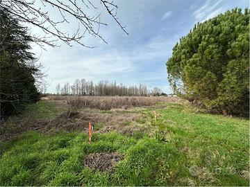 TERRENO AGRICOLO IN VENDTA A FAVARO VENETO