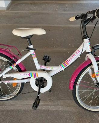 Bicicletta n 20 