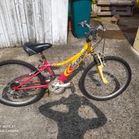 bici MTB