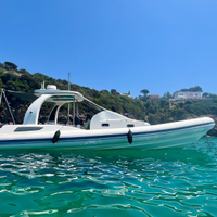Gommone Damar 10